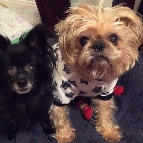 Meet your Posher, Alyse - Picture 2 of 16